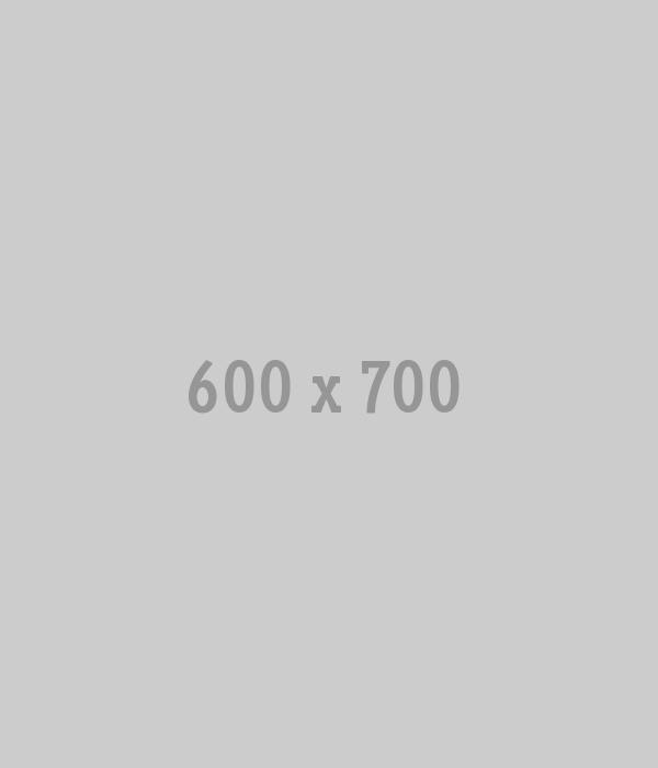 mini blog